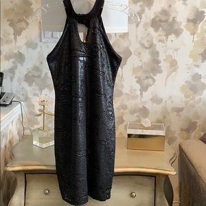 Girls ( juniors) dress size 16. XL. Hollyworld